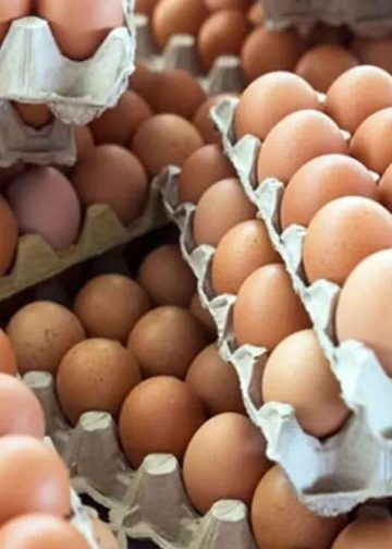 ارتفاع سعر البيض اليوم