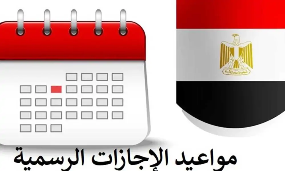 إجازة بأمر الحكومة 